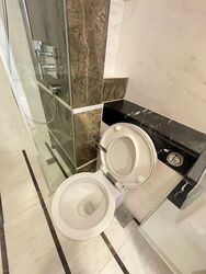 The Vermont On Cairnhill (D9), Apartment #501310681